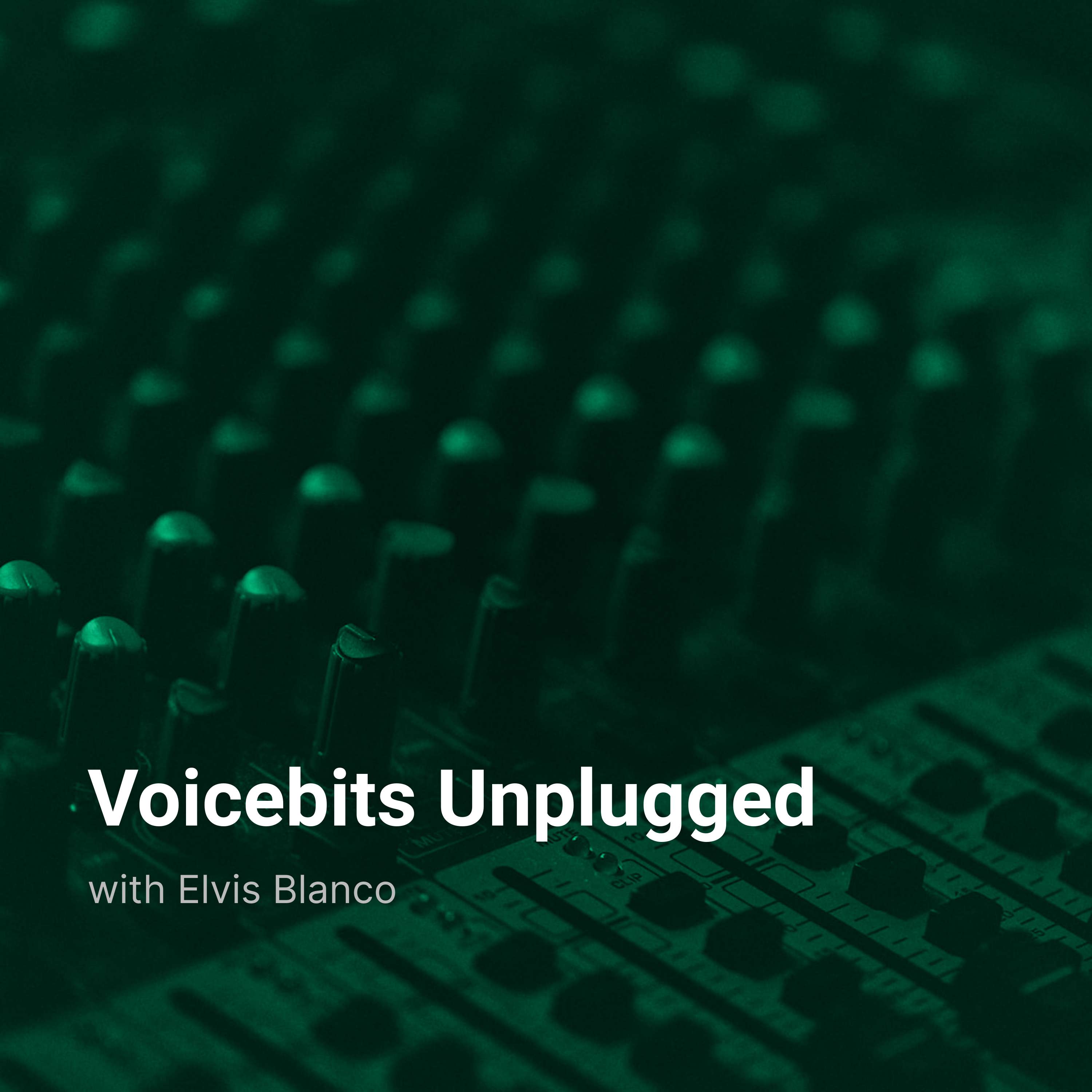 Voicebits Unplugged